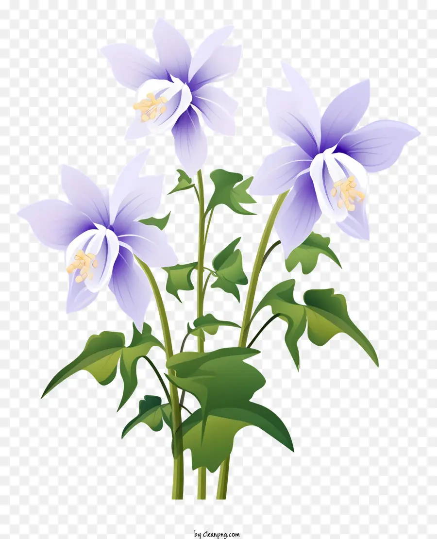 цветы，фиолетовые цветы PNG