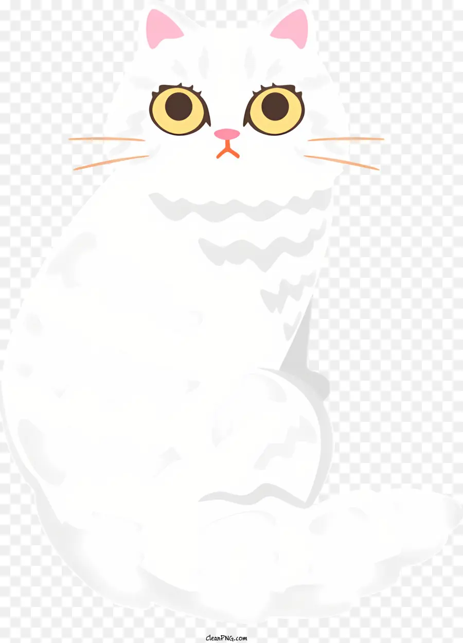 Белый кот，Кот PNG