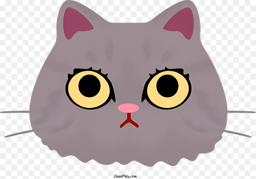 серый кот，желтые глаза PNG