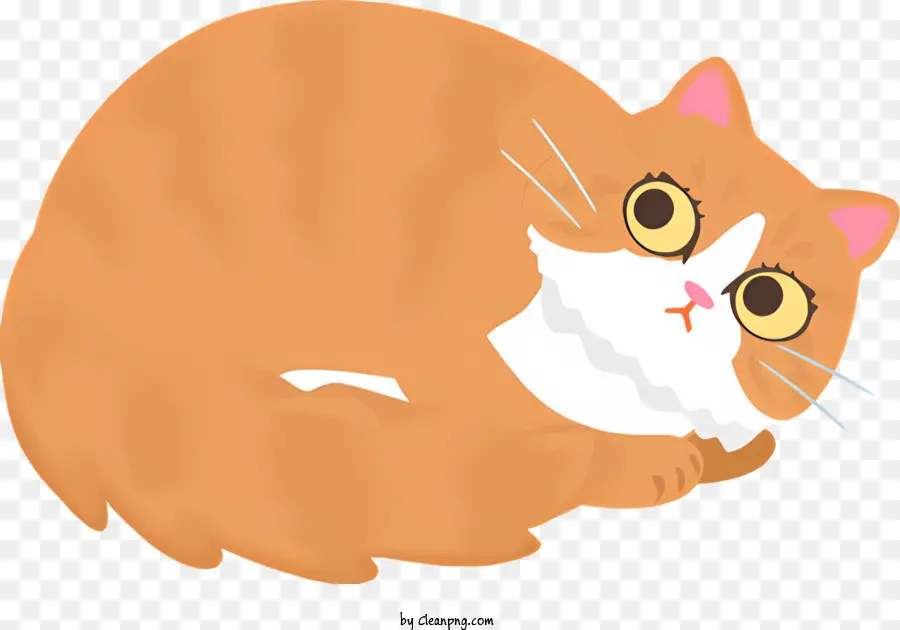 оранжевый кот，Большие Глаза PNG