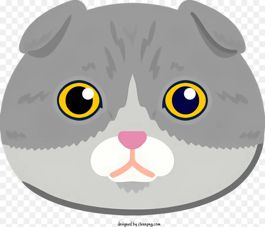 серый и белый кот，Большие Глаза PNG