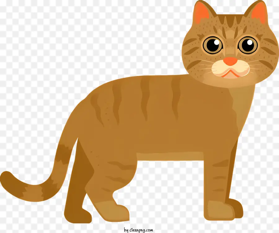 коричневый кот，Большие Глаза PNG