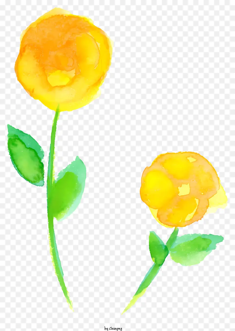 желтый цветок，Цветок с листьями PNG
