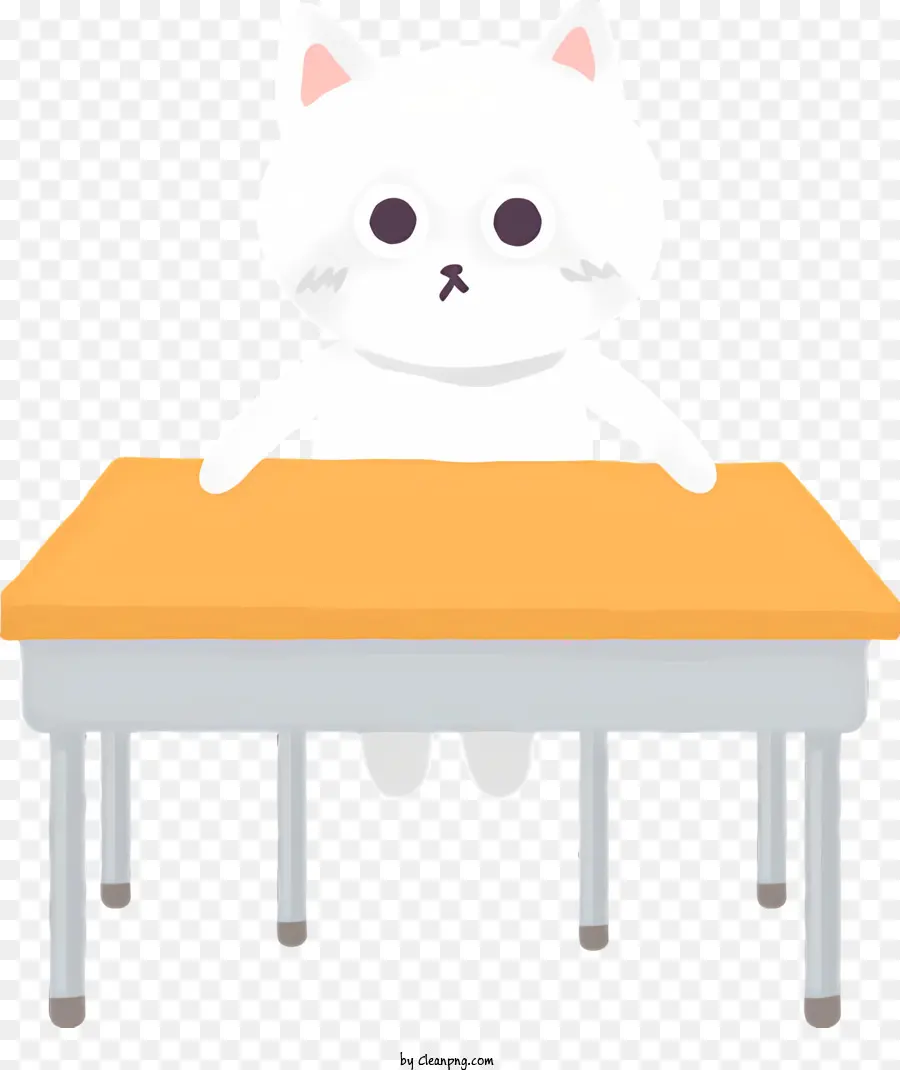 белый кот，рабочий стол PNG