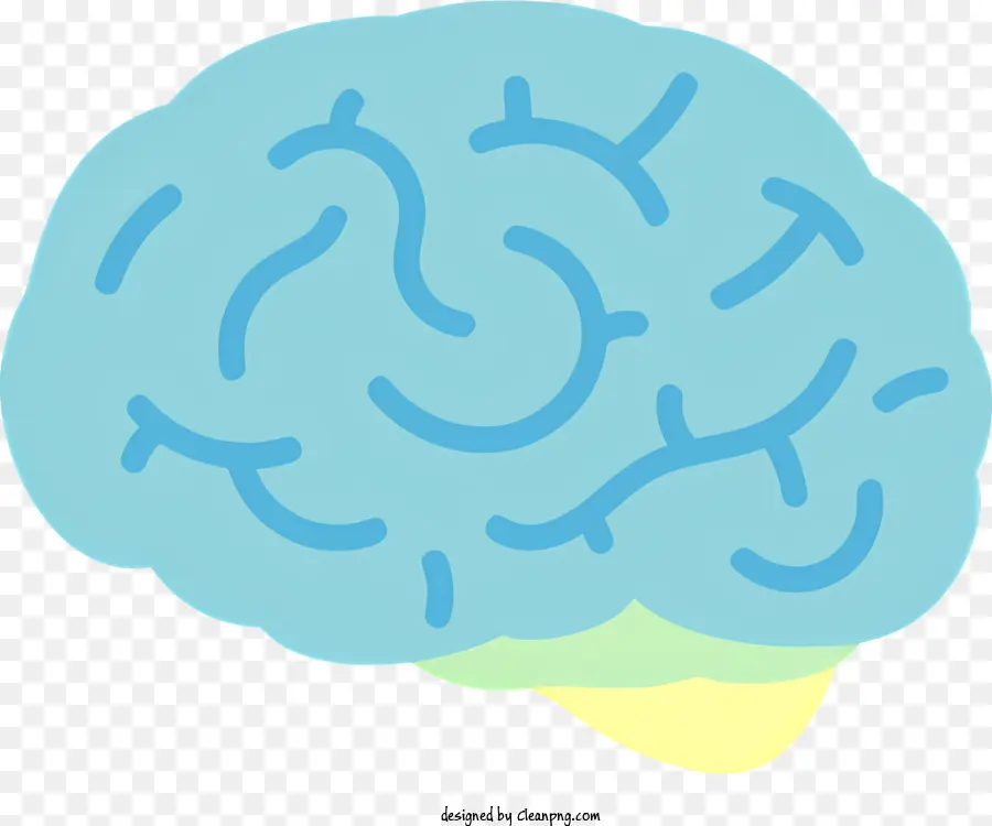 Человеческий мозг，3d визуализация PNG