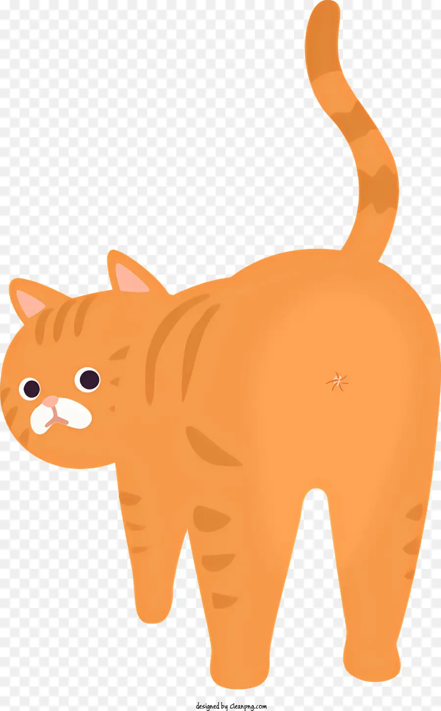 оранжевый кот，белые лапы PNG
