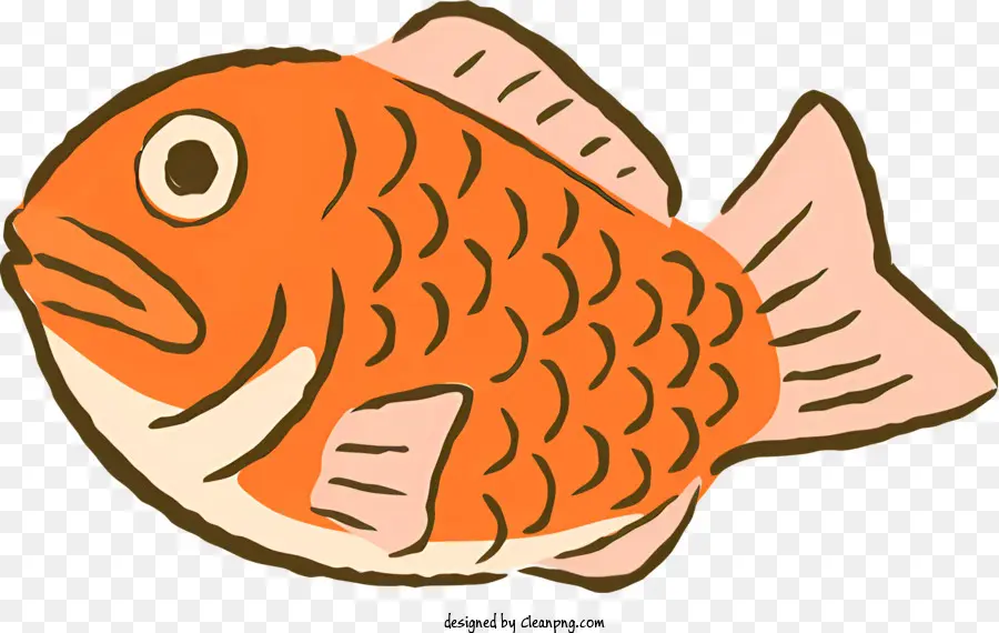 Рыба иллюстрация，Голова повернулась налево PNG