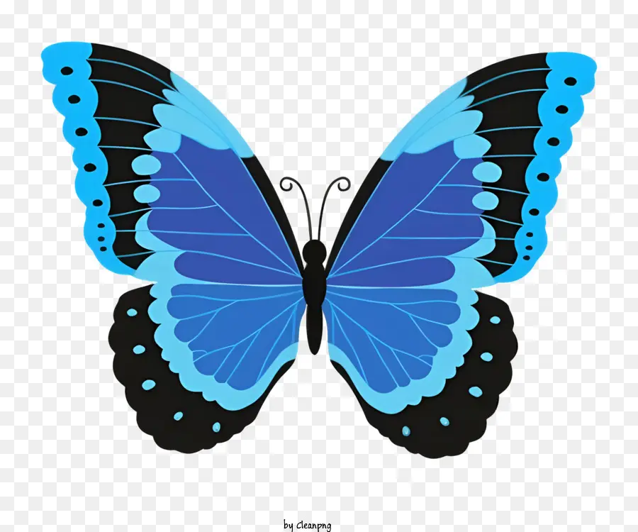 Бабочка，голубая бабочка PNG