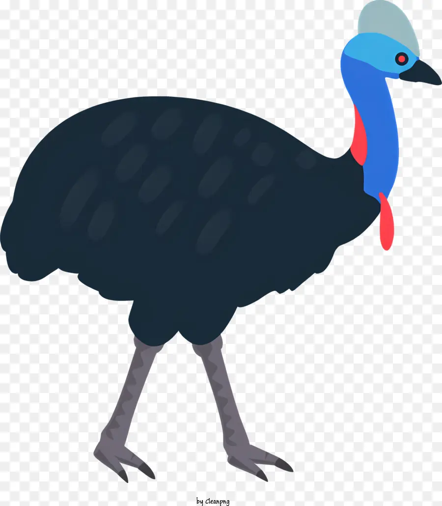 Птица с большим счетом，Черные перья птица PNG
