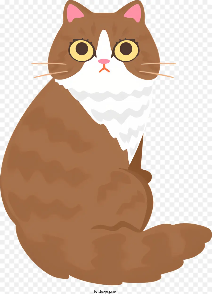 коричневый и белый полосатый кот，печальное выражение PNG