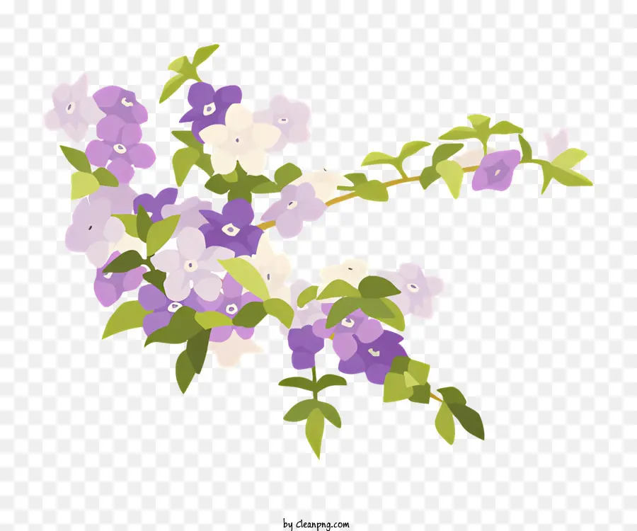 цветы，фиолетовые цветы PNG