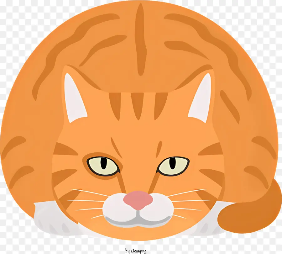 оранжевый кот，лежать на спине PNG