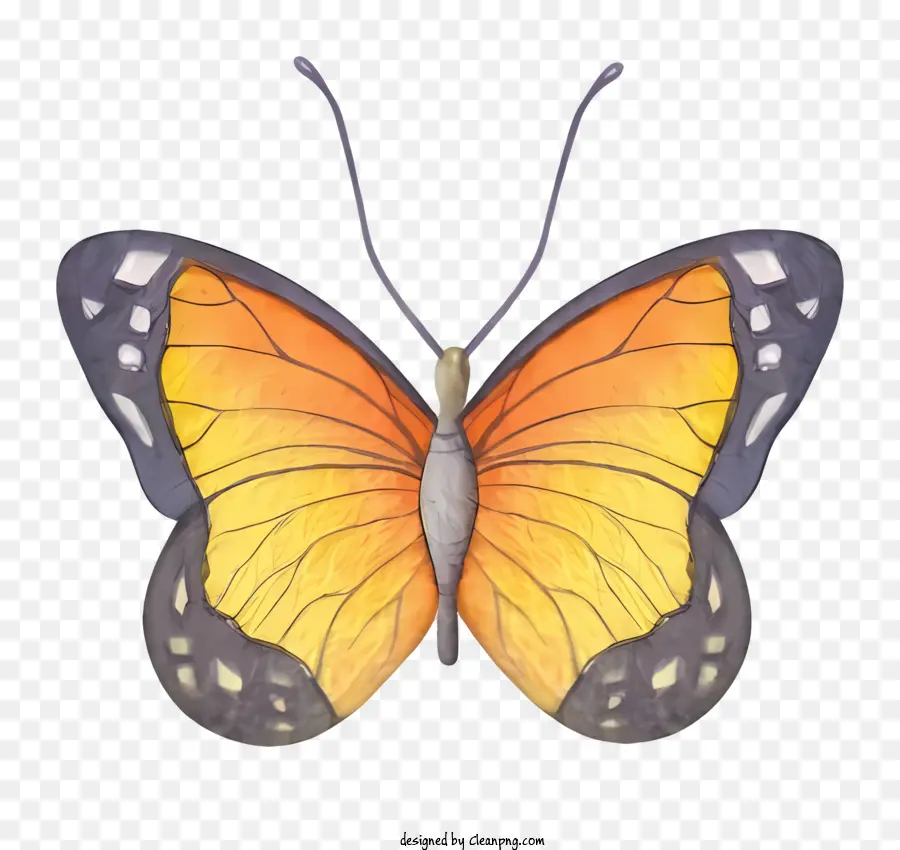 оранжевая бабочка，Прозрачные крылья PNG