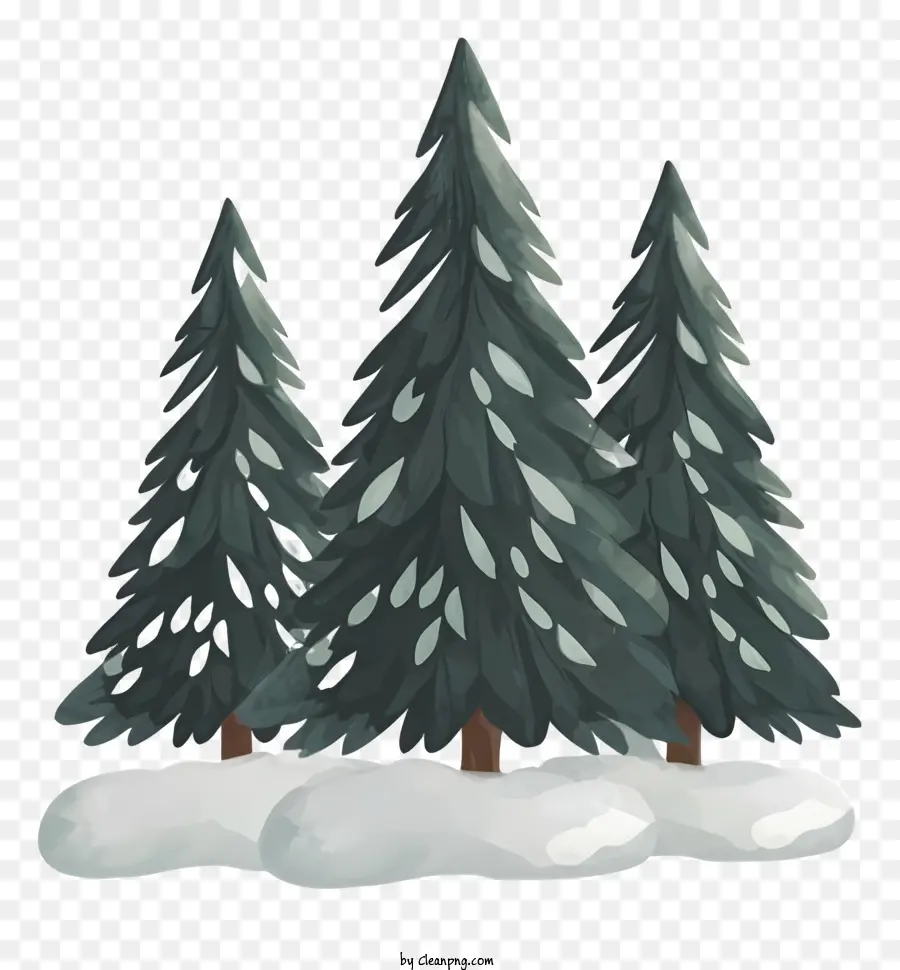 высокие хвойные деревья，Снежный лес PNG