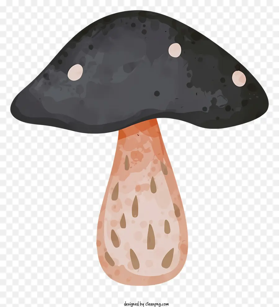 идентификация грибов，Черная шапка гриб PNG