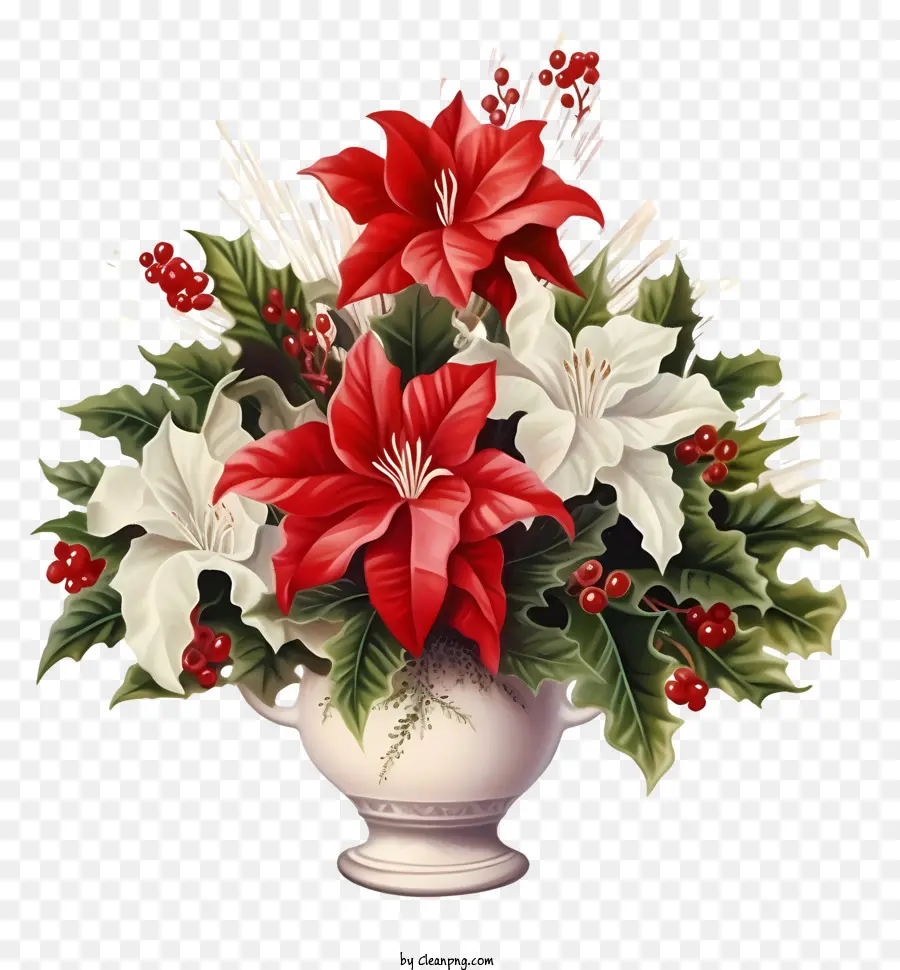 Красные и белые цветы，Пуансеттия PNG