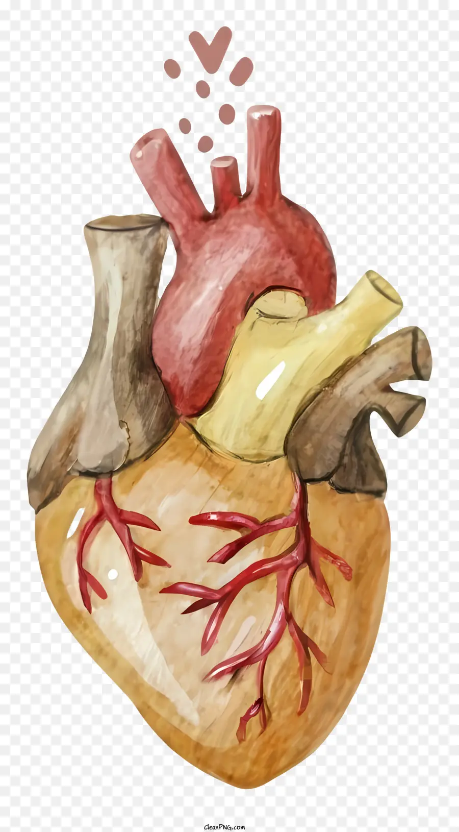 акварельная живопись，Человеческое сердце PNG