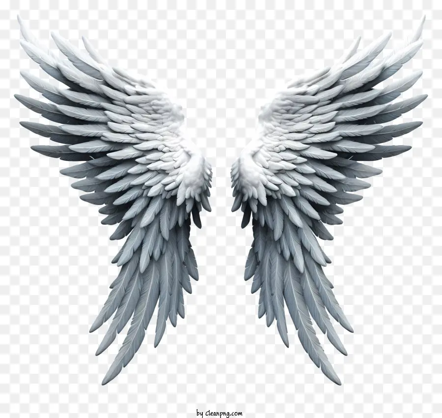 Реалистичные ангельские крылья，крылья ангела PNG
