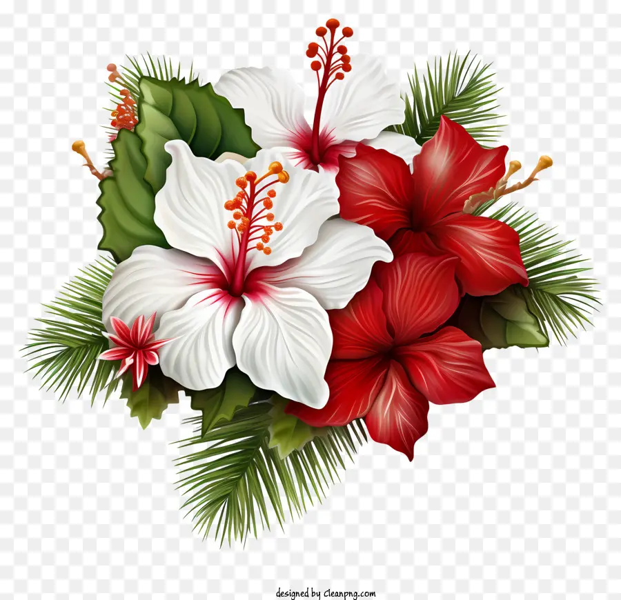 рождественские элементы，цветок гибискуса PNG