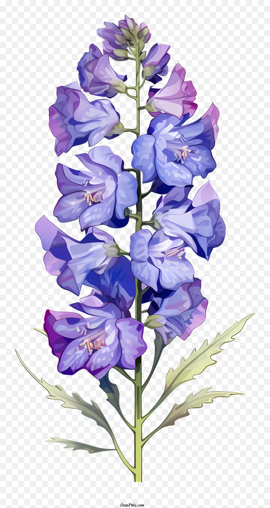 Пастель Дельфиния Цветок，Голубой цветок PNG