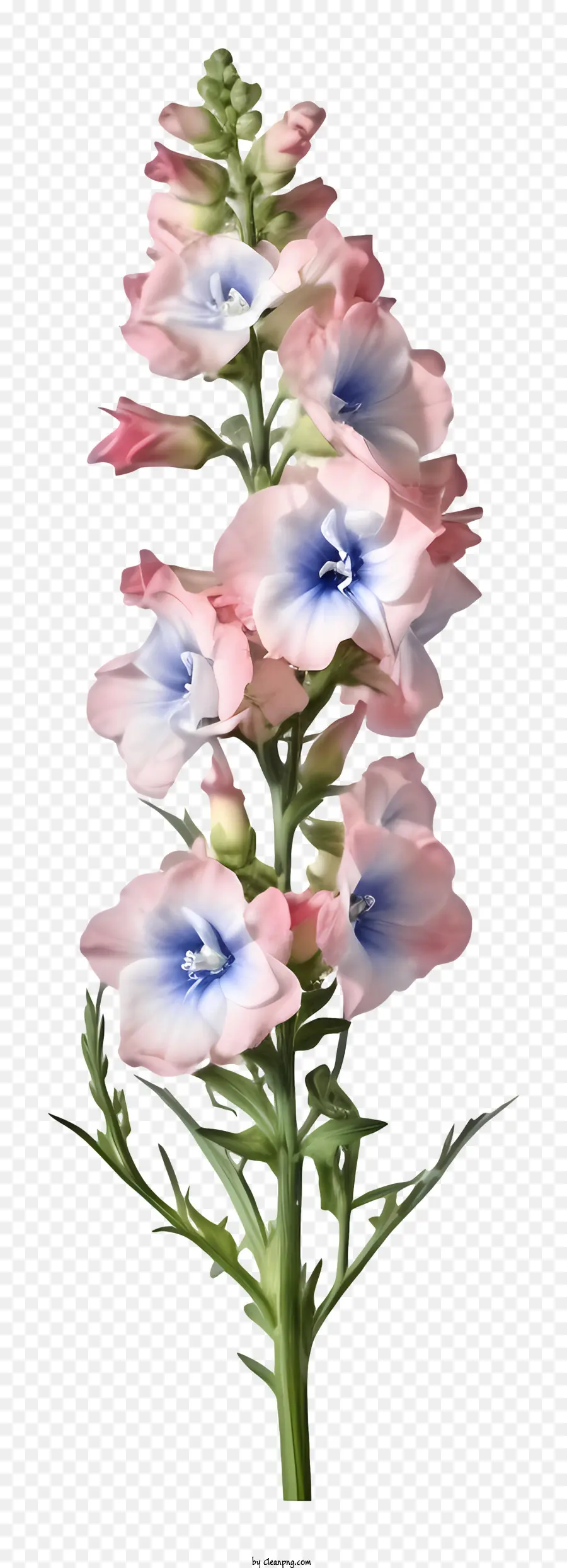 Реалистичный 3d Дельфинный Цветок，цветок PNG