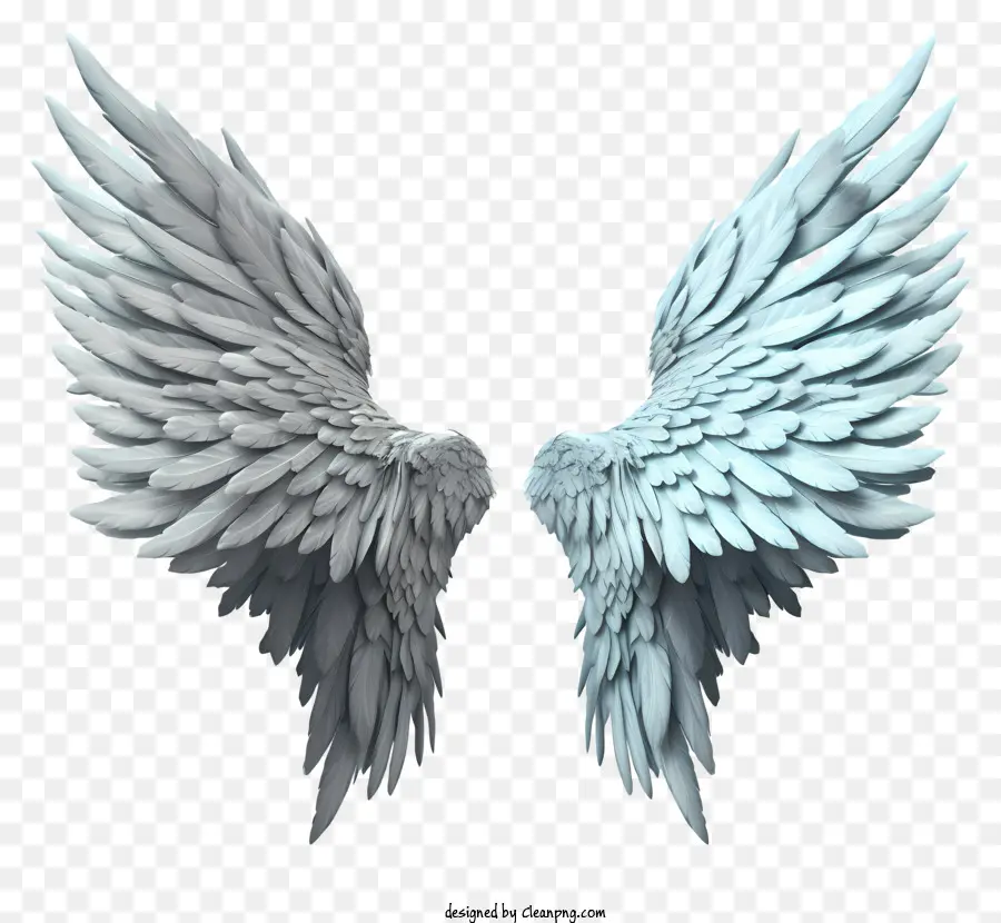 крылья ангела，белые перья PNG