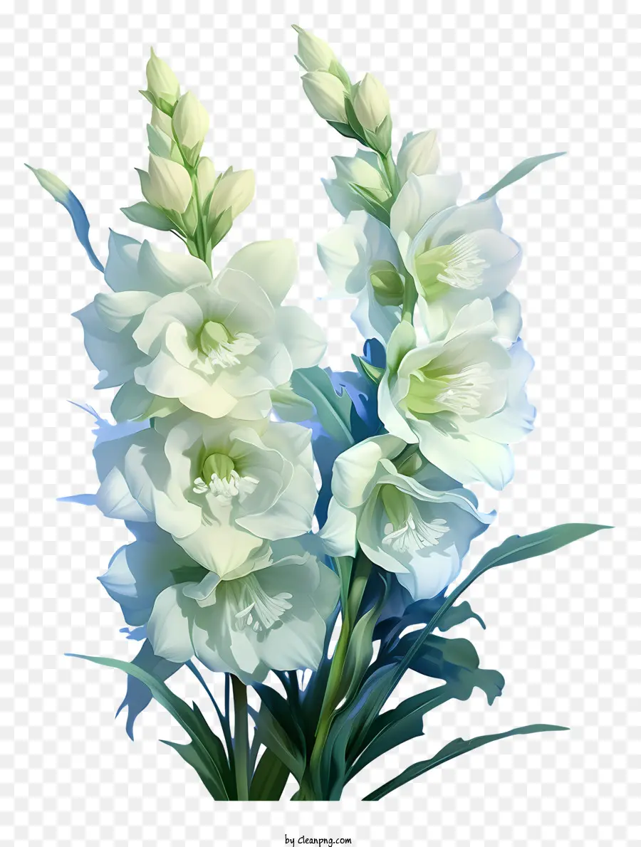 Элегантный цветок Дельфиниума，белые цветы PNG