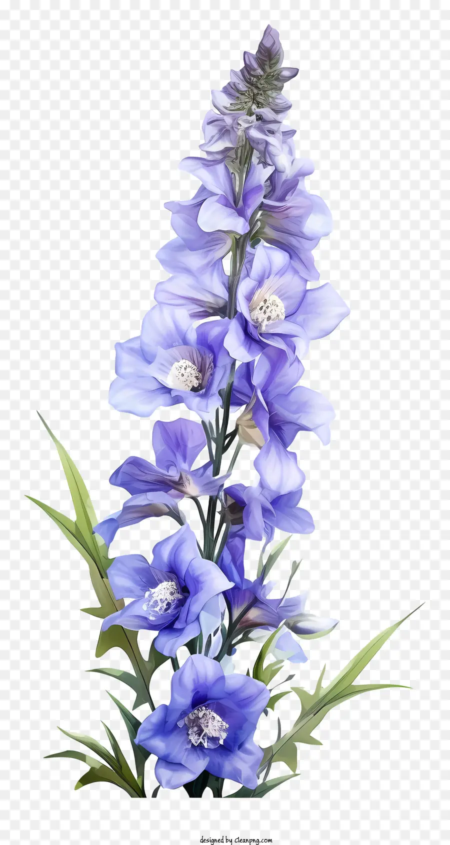 Doodle Delphinium Flower，Голубой цветок PNG