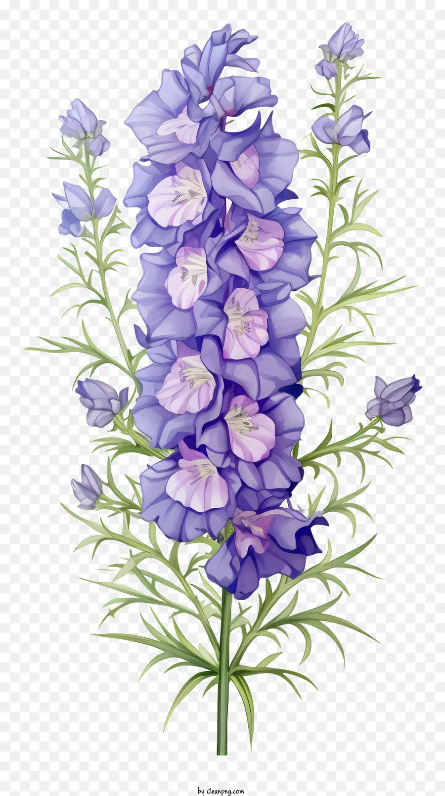 Пастель Дельфиния Цветок，Голубой цветок PNG
