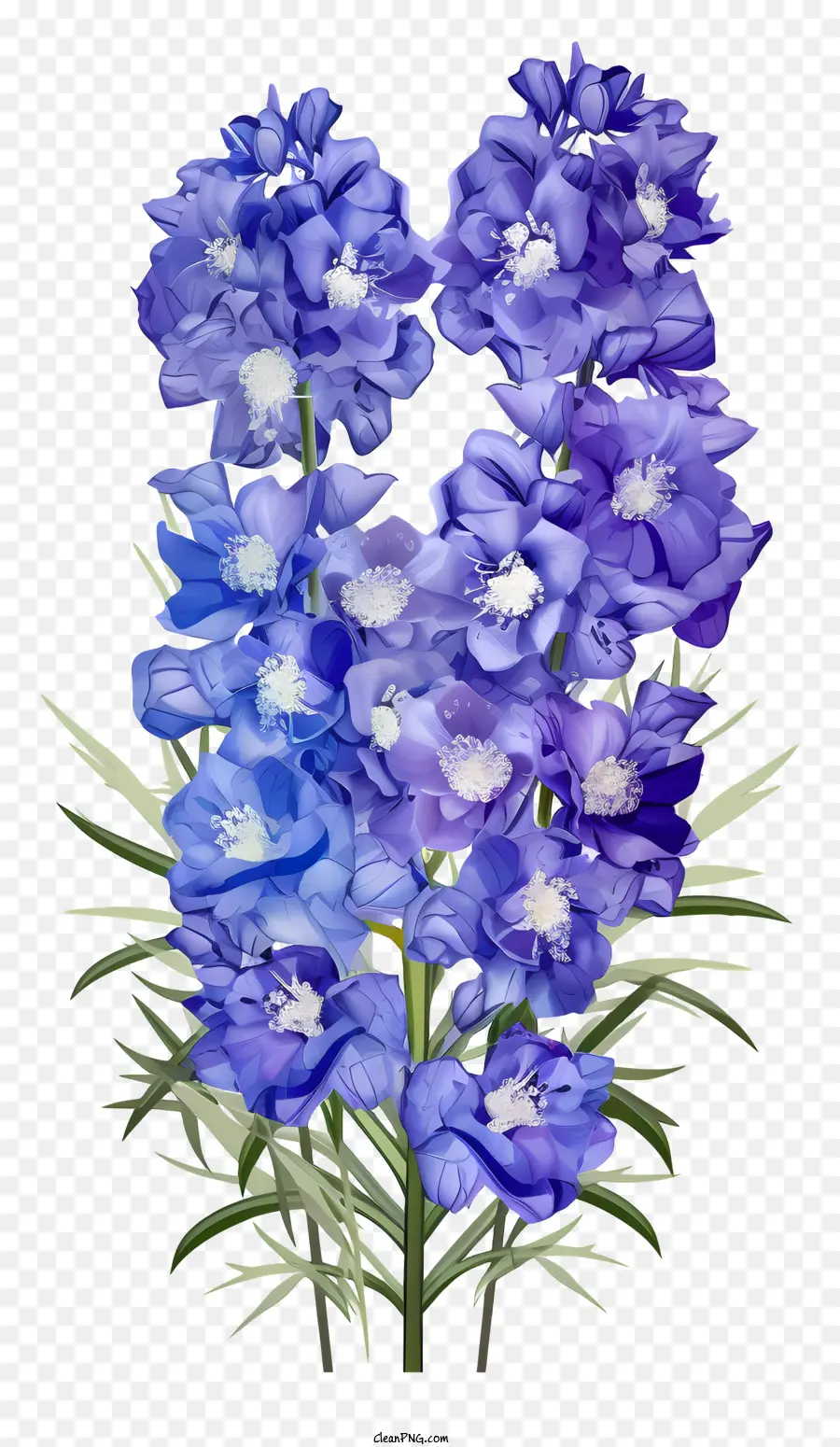 куча дельфиний цветок，синие цветы PNG
