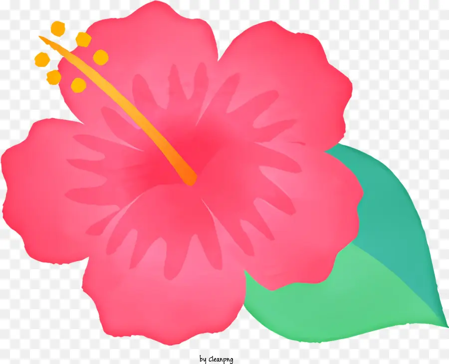 мультфильм，Розовый цветок гибискуса PNG