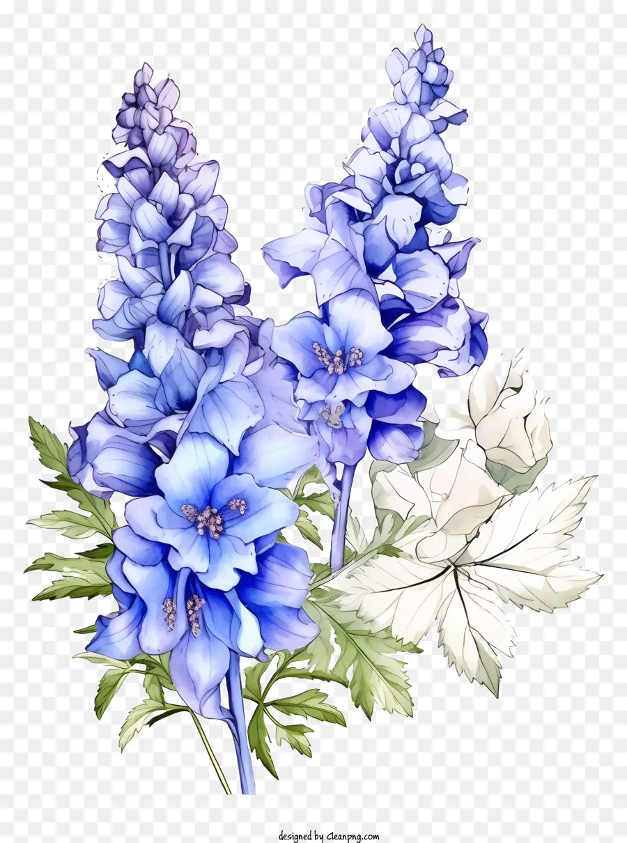 Эскиз дельфиний цветок，синие цветы PNG
