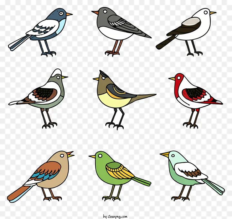 мультфильм，Birds PNG