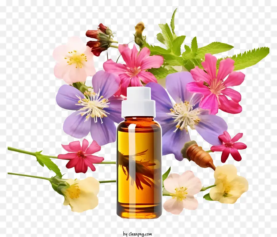 Реалистичная терапия цветочных эссенций，бутылка эфирного масла PNG
