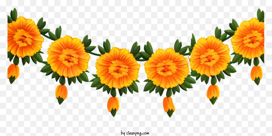 Реалистичная цветочная гирлянда календуа，оранжевые цветы PNG