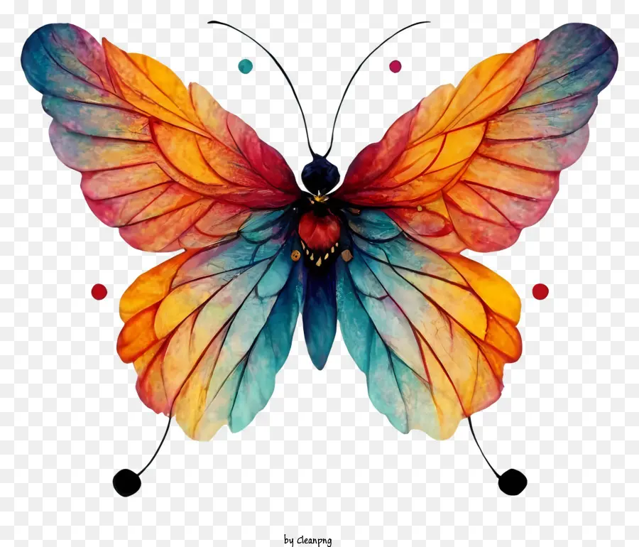 мультфильм，красочные бабочки PNG