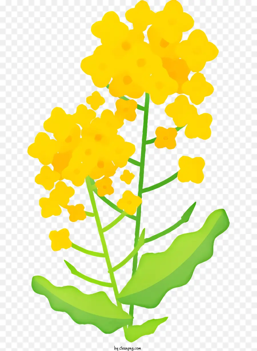 мультфильм，Желтый цветок PNG