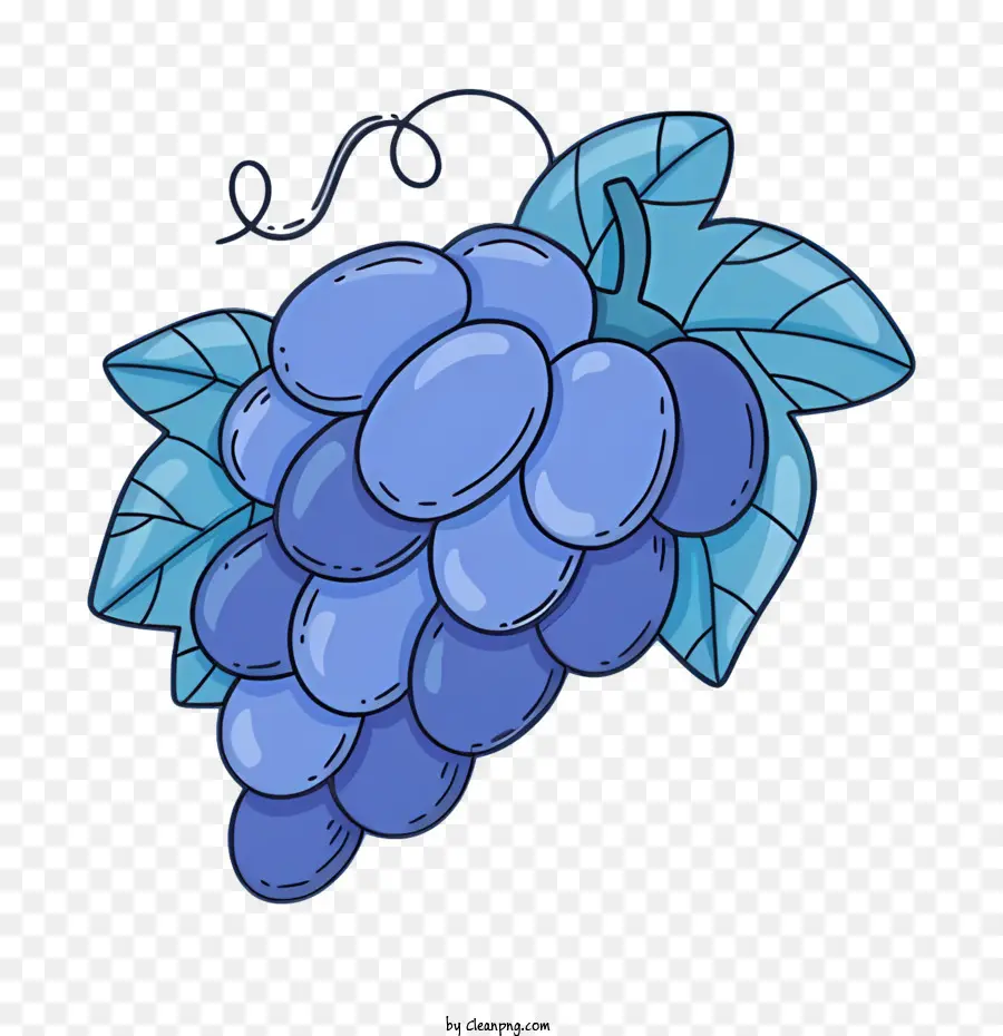 крещение，синий виноград PNG