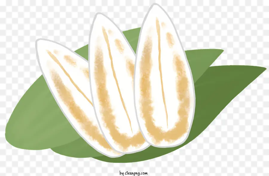 Семян，зеленый лист PNG