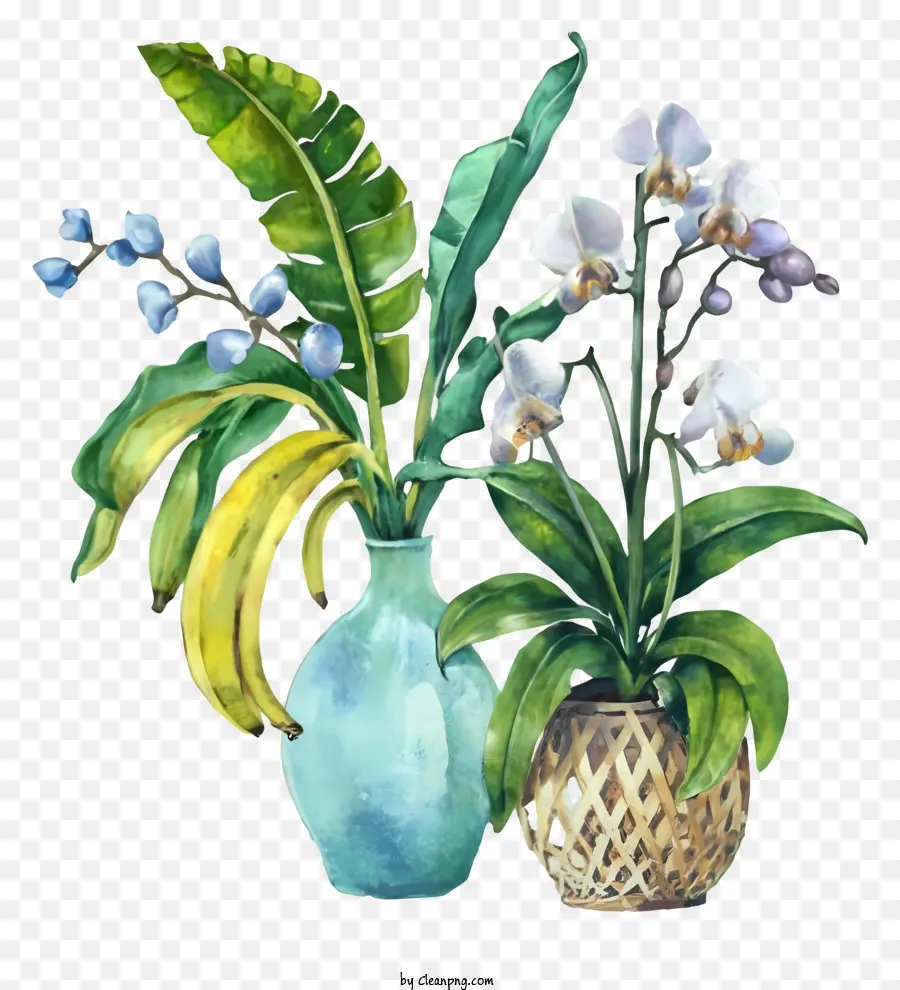 картина ваз，Цветы на черном фоне PNG