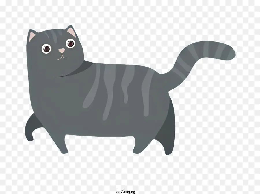 Черный кот，серый и белый полосатый кот PNG