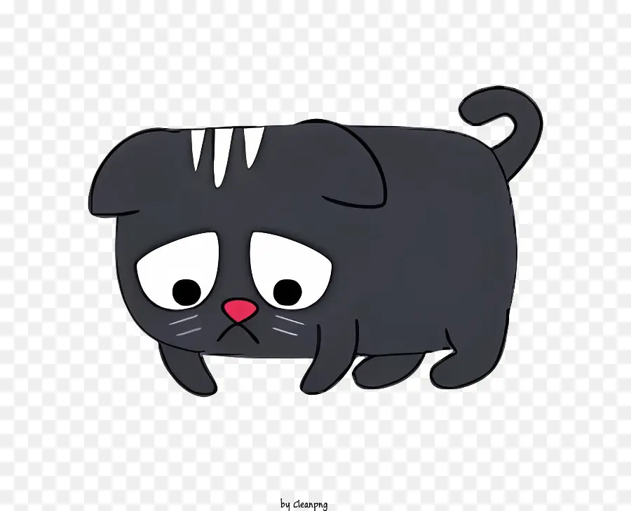 Черный кот，грустный кот PNG