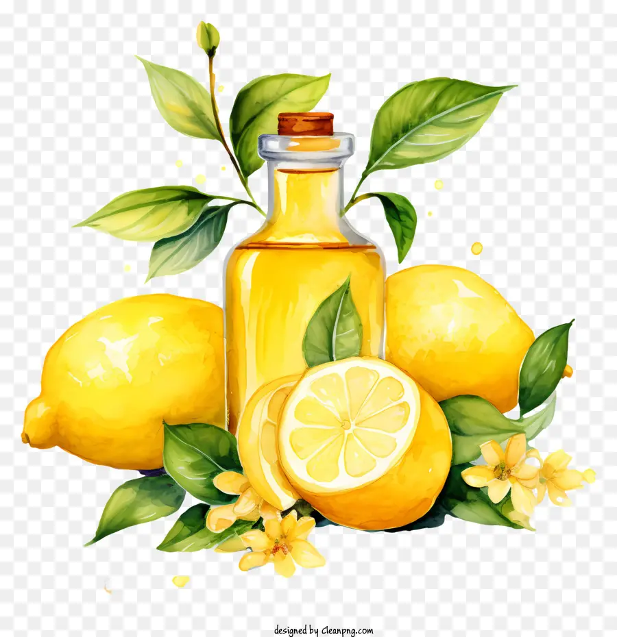 лимонное масло，акварельная живопись PNG