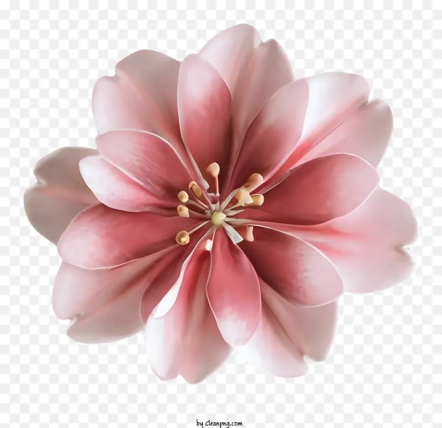 мультфильм，розовый цветок PNG
