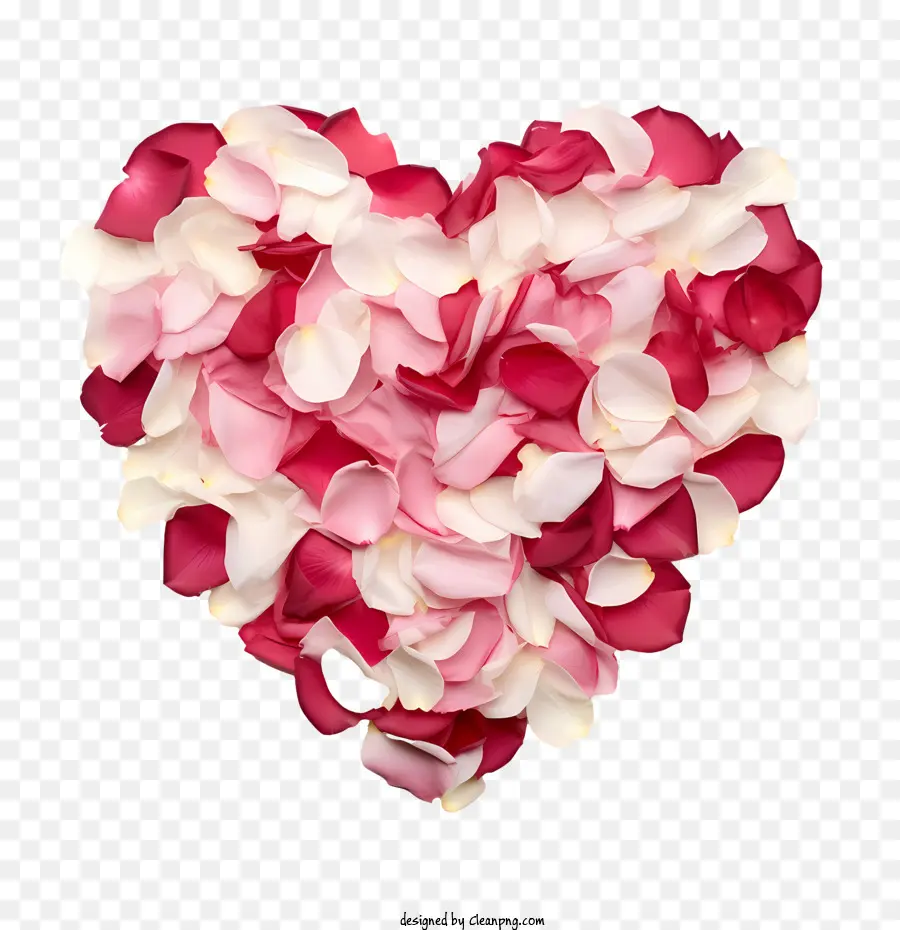 лепестки роз，сердце PNG