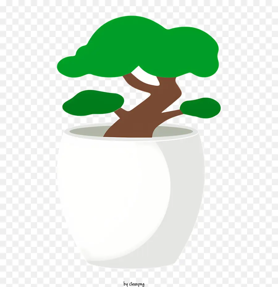 бонсай дерево，вечнозеленое дерево PNG