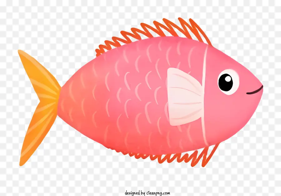 розовый рыба，белые и черные полосатые плавники PNG