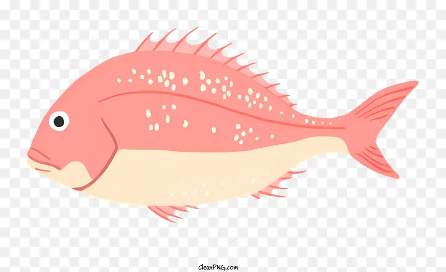 мультфильм рыбы，розовые и белые весы PNG