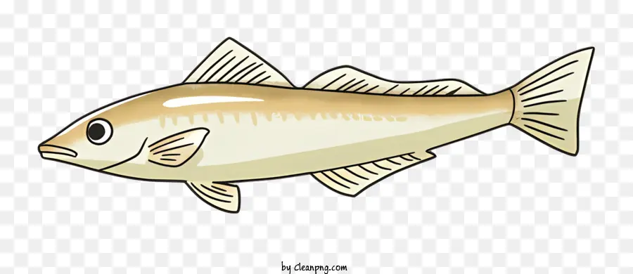 коричневая рыба，белая рыба PNG
