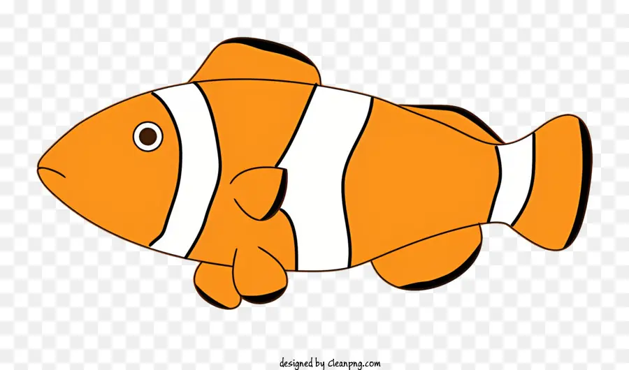оранжевый рыбы，белая полоса PNG